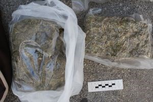 Slika PU_SD/marihuana 23.07.web2.jpg
